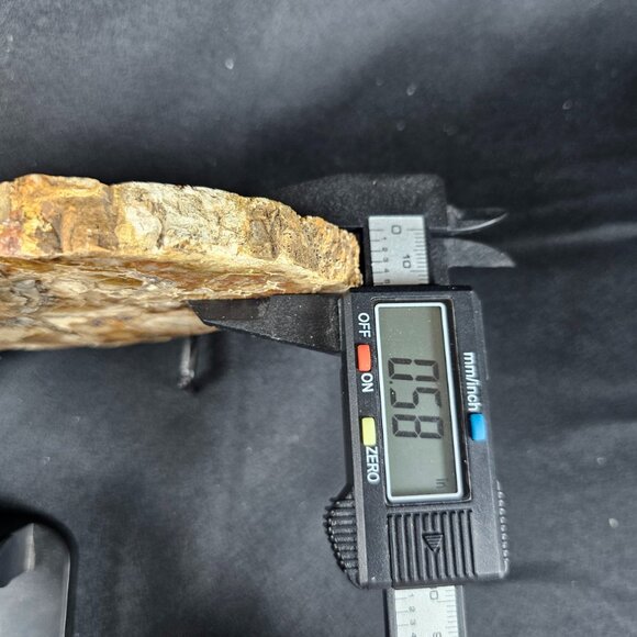 Petrified Wood Slab - Picture 7 of 8